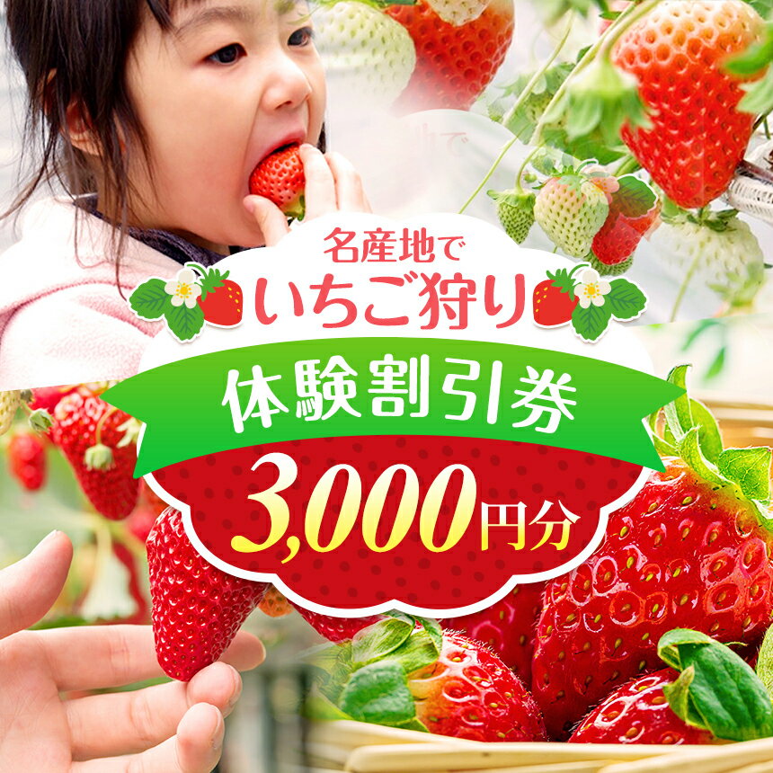 【ふるさと納税】いちご狩り体験割引券 | いちご狩り 体験型 3000円 割引券 収穫 熊本県 玉名市 玉名 熊本 送料無料
