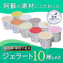 【ふるさと納税】阿蘇天然アイス ジェラート チョコレート バニラ フルーツ アイス 阿蘇天然アイス おやつ お子様 こだわり 素材 10種 セット 冷凍 詰め合わせ 人気 お取り寄せ スイーツ お菓子 アイス ギフト 贈答用 贈り物 熊本県 阿蘇市