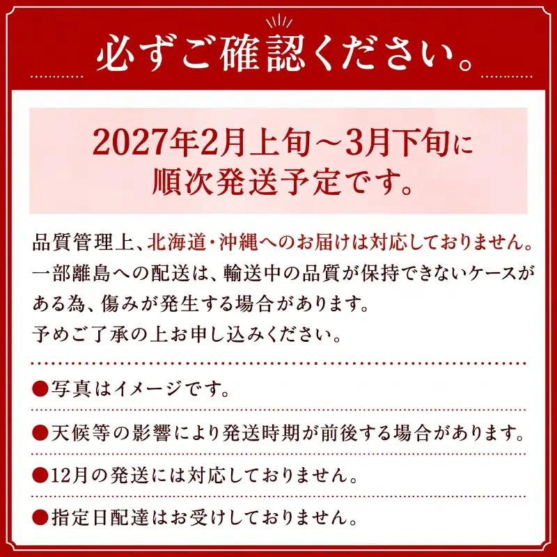 いちご あまおう 2p【2027年2月上旬から3月下旬発送】 いちご 