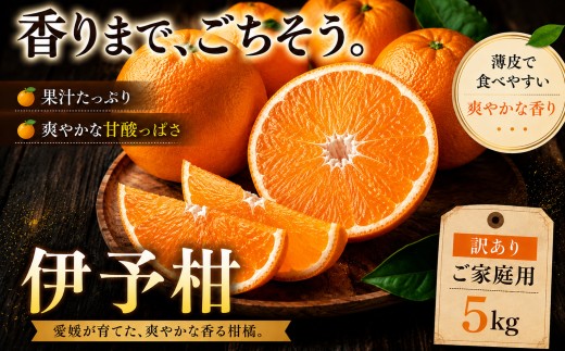 ＜香り立つ果実 愛媛県産伊予柑 合計約5kg＞『2027年1月上旬～2月下旬迄に順次出荷予定』 訳あり あまい 爽やかな香り ミカン 蜜柑 ご家庭用 果汁 果物 くだもの フルーツ オレンジ 柑橘 特産品 極尽道 愛媛県 西予市 【常温】