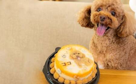 愛犬用 オーダーケーキ 9cm 犬用ケーキ 犬用 ペット用 お菓子 菓子 焼き菓子 洋菓子 愛犬 犬 ワンちゃん オーダー ケーキ デザート スイーツ 冷凍 dog ドッグ 無添加