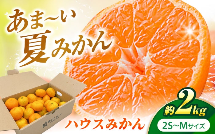 
                  ハウスみかん 2kg 【7月下旬から9月下旬まで順次発送】 / フルーツ 果物 蜜柑 ミカン オレンジ 小玉 甘い 先行予約 2kg 愛媛 ハウスみかん 温室栽培 夏みかん 夏 冷やして デザート 甘み コク 愛媛産 フルーツ 果物 贈答 フルーツギフト 果汁 ジューシー 柑橘 産地 愛媛名産品 プレゼント ギフト 人気 おすすめ / 愛媛県砥部町/株式会社フジ・アグリフーズ [BJBI001]
                