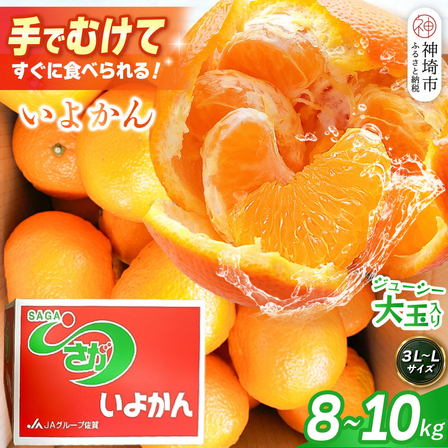 【ふるさと納税】【2027年1月中旬より発送開始】いよかん 8～10kg(3L～Lサイズ)【みかん 柑橘 フルーツ デザート】(H116141)