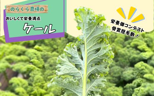 
                  のらくら農場　ケール1kg [NK-121]
                