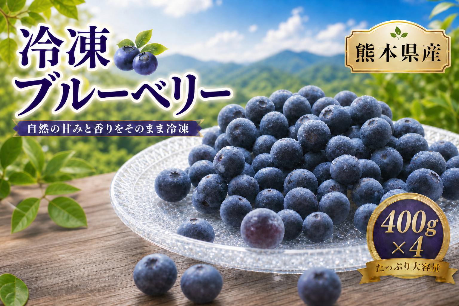 
                  冷凍ブルーベリー （ 400g × 4個 ） ブルーベリー フルーツ 果物 くだもの ベリー デザート おやつ 冷凍
                
