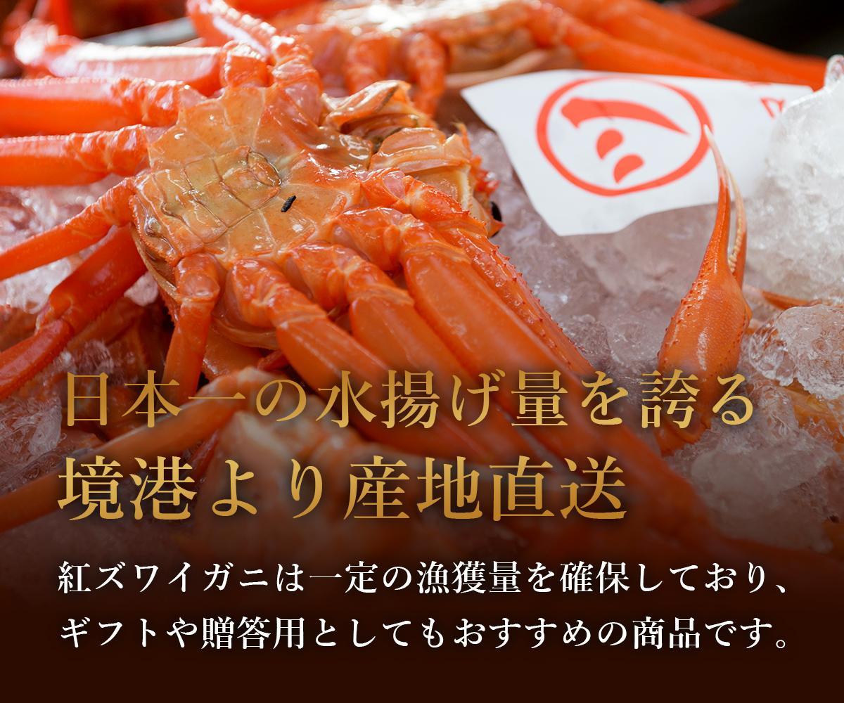 【蟹セレブ】ズワイガニ（紅ズワイガニ）1kg箱詰め（500g前後×2杯）