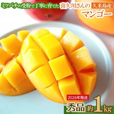マンゴー 【2026年発送】ミツバチの受粉で育てた喜久川さんの完熟マンゴー 約1kg ◆秀品◆ フルーツ 果物 
