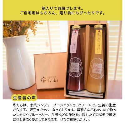 ふるさと納税 上毛町 【上毛町産ブルーベリー&レモン使用】ジンジャーシロップ2本セット |  | 03