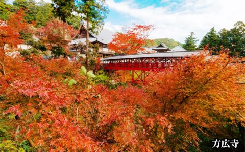 静岡県浜松市 ANAトラベラーズホテル クーポン 4，500点分