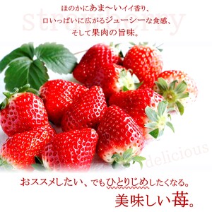 【先行予約】いちご とちおとめ・とちあいか 1.1kg 食べ比べ セット