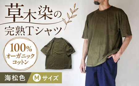 オーガニックコットン 完熟Tシャツ　【海松色】 Mサイズ / オーガニック コットン 綿100　手染め 草木染め Ｔシャツ 半袖 トップス ファッション インナー 女性用 レディース 男性用 メンズ ユニセックス 男女兼用 ギフト 贈答 プレゼント / 大村市 / ISTIST[ACZW060-2]