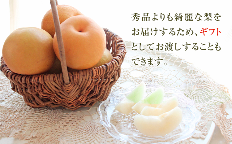 【2026年先行予約】特選 二十世紀梨 約3kg (4~10玉) 3L~5Lサイズ 高間商店《2026年8月下旬-10月上旬頃出荷予定》 鳥取県 八頭町 梨 なし ナシ 果物 フルーツ 先行予約 ふる