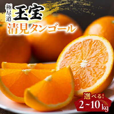 【ふるさと納税】【愛媛名産】玉宝清見タンゴール　2kg/4kg/5kg/10kg_ みかん 清見タンゴール 清見オレンジ 清見みかん 清見 玉宝 極尽道 愛媛のみかん 柑橘 果物 くだもの フルーツ 美味しい 甘い まろやか ジューシー おすすめ 愛媛 八幡浜市 人気 送料無料 【G1623964】