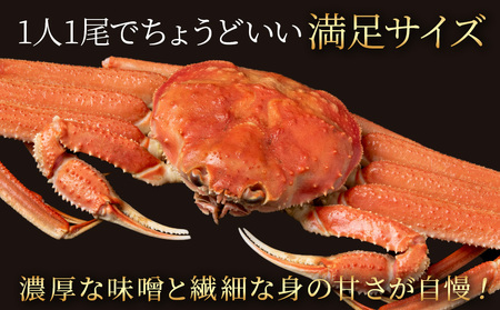 北海道産 オオズワイガニ 300g～350g ×2尾 ＜斉藤水産＞ AM113