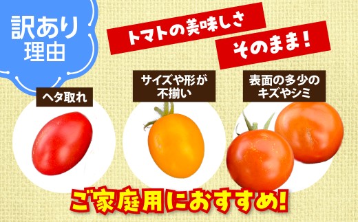 【2027年7月より発送】【訳あり】カラフルミニトマト約4kg(5種以上) 大作農園 北海道壮瞥町 【 ふるさと納税 人気 おすすめ ランキング 訳あり ミニトマト ミニトマトセット 北海道産トマト 