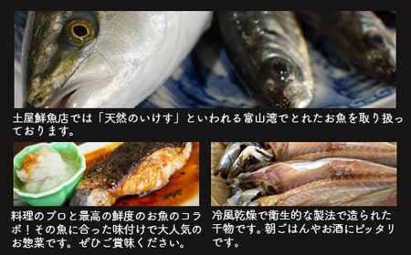 【射水市】【射水のおいしい海鮮】【新湊産】自家製 おまかせ干物漬魚セット 松8種 ※離島への配送不可
