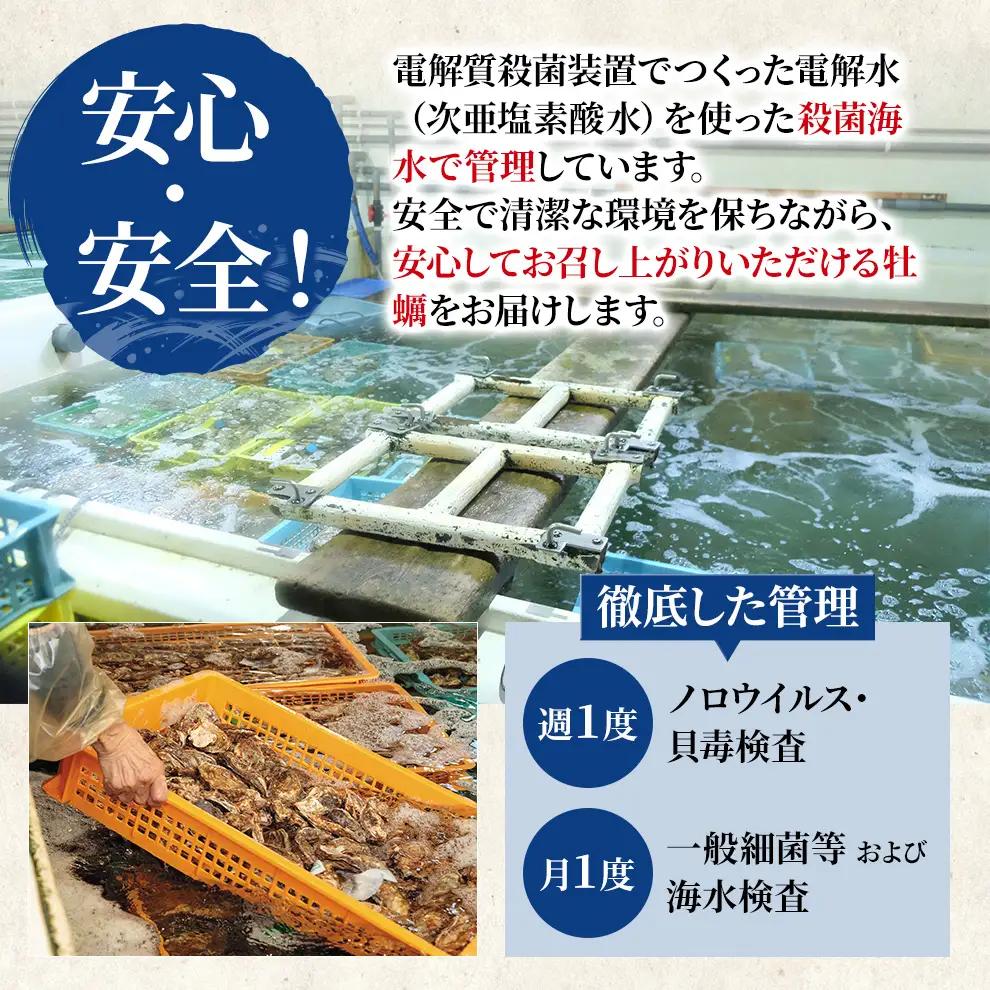 北海道 厚岸産 殻付牡蠣の食べ比べセット！（生食用）カキ 牡蠣