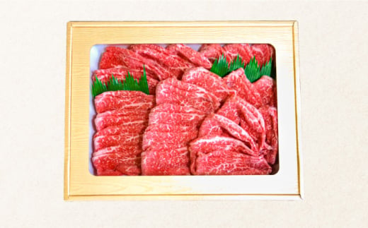 【6回定期便】長崎和牛 もも肉 400g / 南島原市 / はなぶさ [SCN077] 