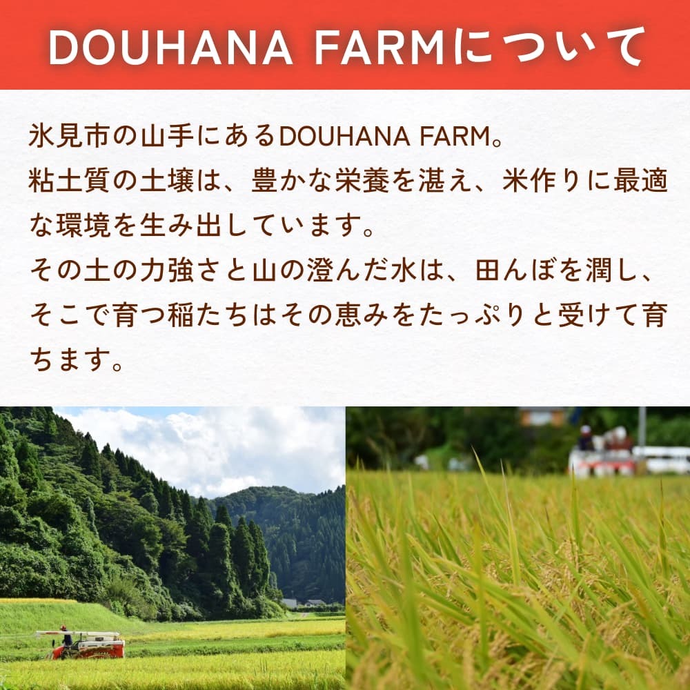 令和6年産 富山県氷見産 コシヒカリ 玄米 5kg 富山県 氷見市 米 こしひかり