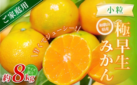 みかん　極早生小粒みかん 約8kg【家庭用】【BV-mrmt054】