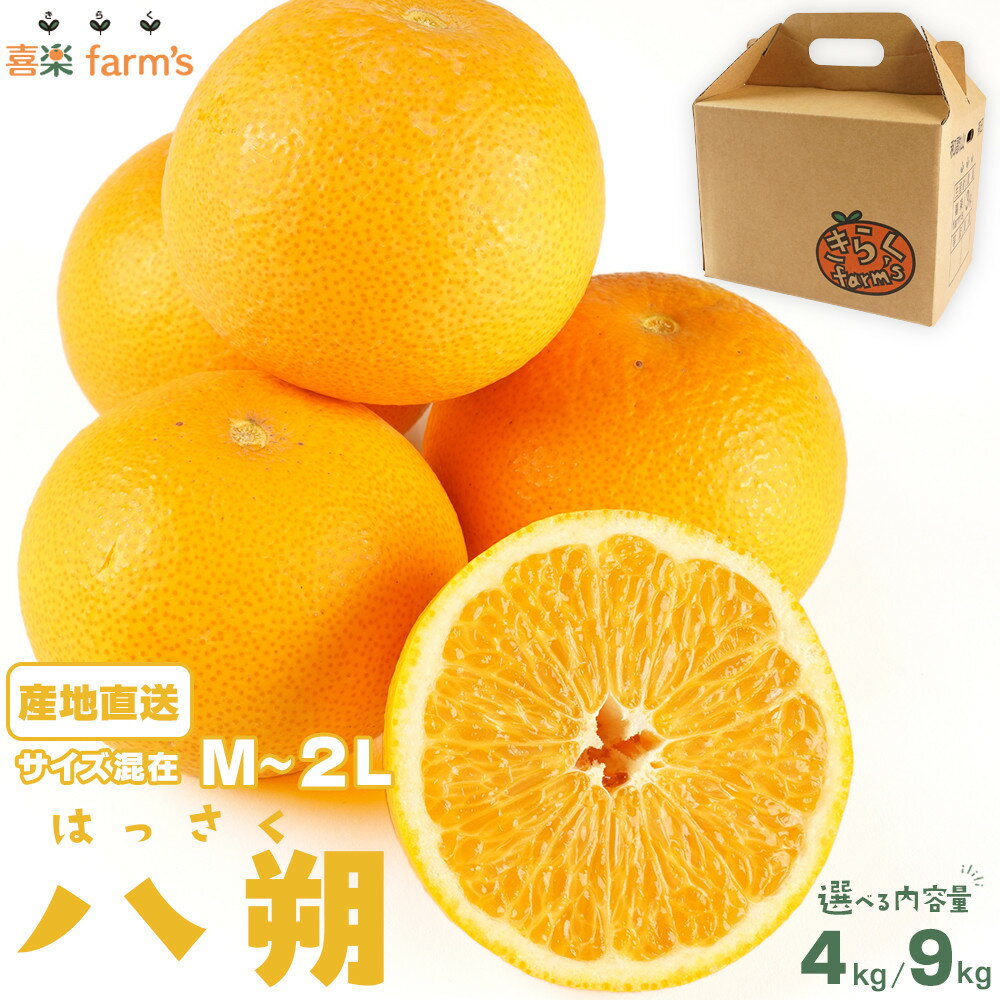 【ふるさと納税】【選べる容量】 産地直送 有田産 八朔 サイズ混載（M～2L） 約4kg or 約9kg | みかん 八朔 柑橘 和歌山 有田 はっさく 柑橘類 和歌山県 有田川町 果物 フルーツ 産地直送 ふるさと納税 返礼品 故郷納税