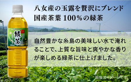 緑茶 ペットボトル 500ml×24本 八女玉露入り 緑茶ペットボトル [ARM004]