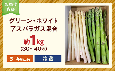 【先行予約】グリーン・ホワイトアスパラガス約1kg（3〜4月出荷）|アスパラ アスパラガス ホワイトアスパラガス 新鮮 春野菜 直送 グリーンアスパラガス|_mk002-002