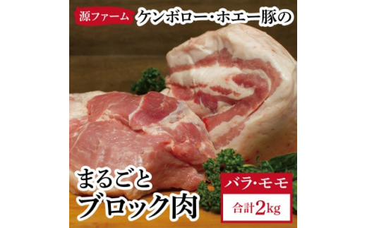 
ケンボロー・ホエー豚　ブロック肉 2kgセット＜CT-006＞【1396944】
