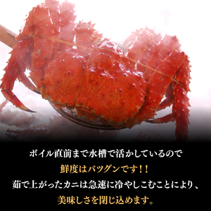 北海道稚内産ボイルタラバガニ（ボイル済み・脚）800g 北海道 蟹 カニ