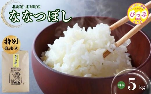 令和7年産 新米 特別栽培米 ななつぼし 精米 5kg【12月から2026年1月上旬発送】【西間農園】 米 お米 北海道産 北海道米 特Aランク 国産 白米 コメ 北海道 比布町 ぴっぷ 1005-021