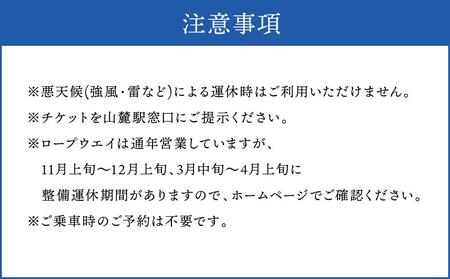 小樽天狗山 ロープウエイ 往復乗車券 大人2名様分 ロープウェイ 観光 旅行 夜景