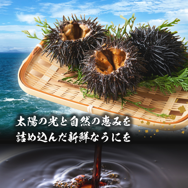 海魚のうにめし（2箱） 2箱