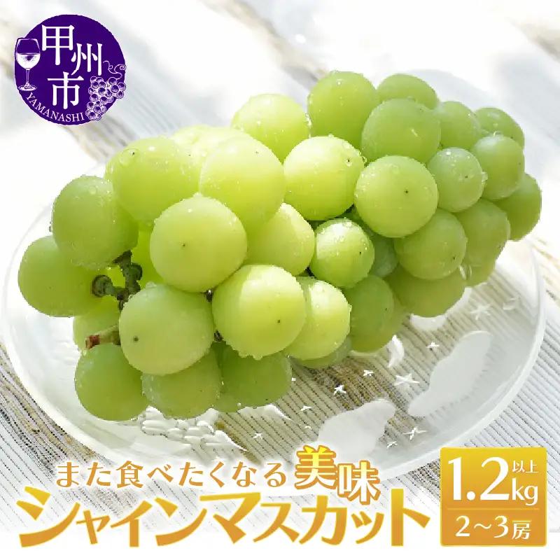 また食べたくなる美味シャインマスカット1.2kg以上