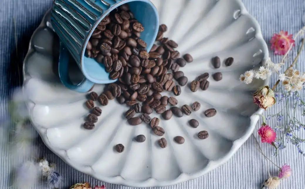 【自家焙煎】スペシャリティコーヒー パナマ SHB 200g オリジナルブレンド300g 2種入り 珈琲 コーヒー DG002