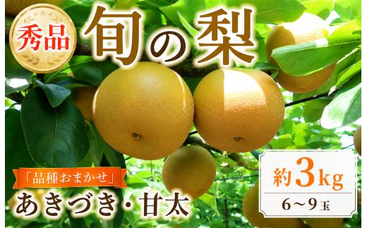 梨 あきづき 甘太 約 3kg 贈答品 (6玉 - 9玉) 旬 産地直送 千葉県 なし ナシ 品種おまかせ 贈答梨 秀品 期間限定 贈答用 贈り物 贈答 秋月梨 甘太梨 秋月 かんた 甘い 旬の果物 旬のフルーツ 【 2026年先行予約 】 くだもの 果物 フルーツ プレゼント デザート 千葉 旭市 ヤマホン園 yhe001