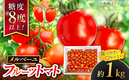 【先行予約】高知県高知市 フルーツトマト メルベーユ 約1kg 〈2025年12月中旬頃?発送〉 / 高糖度 トマト とまと フルーツトマト 野菜 【株式会社　四国健商】[ATAF071]