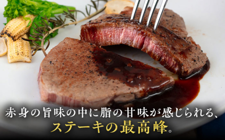 【全3回定期便】【A4/A5等級】博多和牛 ヒレステーキ 600g (100g×6枚) 糸島市 / ヒサダヤフーズ 黒毛和牛 牛肉 ヒレ肉 雌牛 [AIA087] 牛肉ヒレステーキ定期便 牛肉ヒレステ