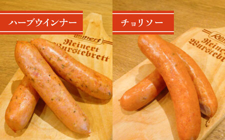 マイスター直伝手作りソーセージ Aセット 4種 ウインナー チョリソー BBQ 岐阜市/ドイツデリカテッセン　クリンゲン[ANBQ001]