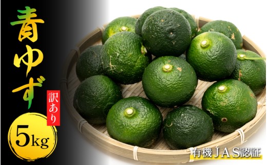 【先行予約】 訳あり ゆず 有機ゆず 青ゆず 5kg オーガニック 柚子 有機JAS 青柚子 健康 美容 柑橘 みかん フルーツ 果物 薬味 ジャム マーマレード 鍋 そうめん 柚子胡椒 果実酒 シロップ 徳島県 三好市