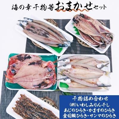 ふるさと納税 白子町 海の幸　干物等おまかせセット |  | 01