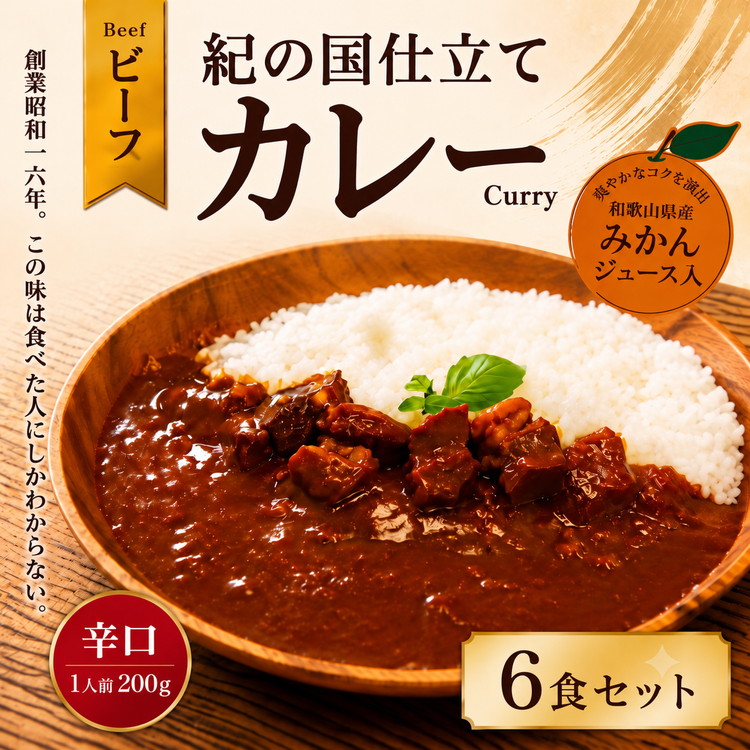 紀の国仕立て カレー （ビーフ） 6食 中辛 1人前200g (A1193-1) 