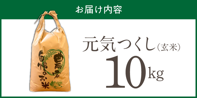 【2026年10月より順次発送】福岡県産ブランド米元気つくし 玄米 10kg【令和8年産 新米】 _  元気つくし 10kg 福岡県産 ブランド米 新米 福岡生まれ 品種 香り豊か ふっくら 食感 ご飯 おにぎり 弁当 お米 食品 お取り寄せ 九州 久留米市産 福岡県 久留米市 送料無料 _Gr091