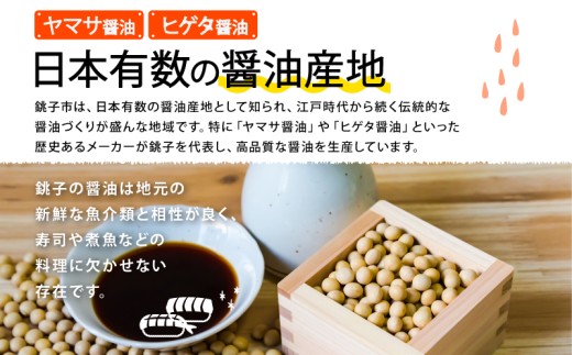 銚子名産 厳選しょうゆセット 5本 ヤマサ醤油 ヒゲタ醤油 小倉醤油 食べ比べ 厳選 ギフト プレゼント 贈物 贈り物 贈答 常温 長期保存 和食 大豆 豆 お取り寄せ グルメ 調味料  高級 おすすめ 送料無料  ふるさと納税 ふるさと納税調味料 10000円 10000 一万円 千葉県 銚子市 一般社団法人 銚子市観光協会