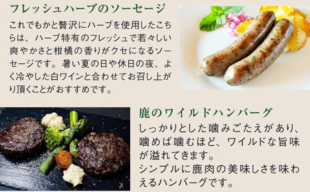 3ヶ月定期毎月配送【ナチュラルジビエシャルキュトリー定期便セット】