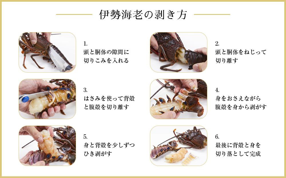 冷凍 伊勢海老  真空パック 約1kg（2～4匹入り） 南紀黒潮 イセエビ 通年発送｜期間限定 漁師直送 海鮮 海老 とれたて 人気