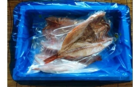 【北海道根室産】開キンキ3枚セット F-04001