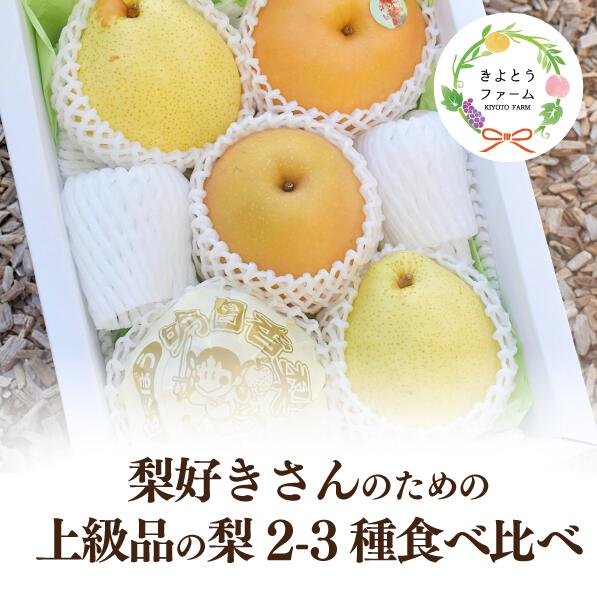 【ふるさと納税】 【きよとうファーム】梨好きのための、梨2～3種食べ比べ 上級品 5-7玉 (岡山県産) 【KF-C014-02】/ 梨 和梨 洋梨 上級品 岡山県産 果物 くだもの フルーツ 御歳暮 贈り物