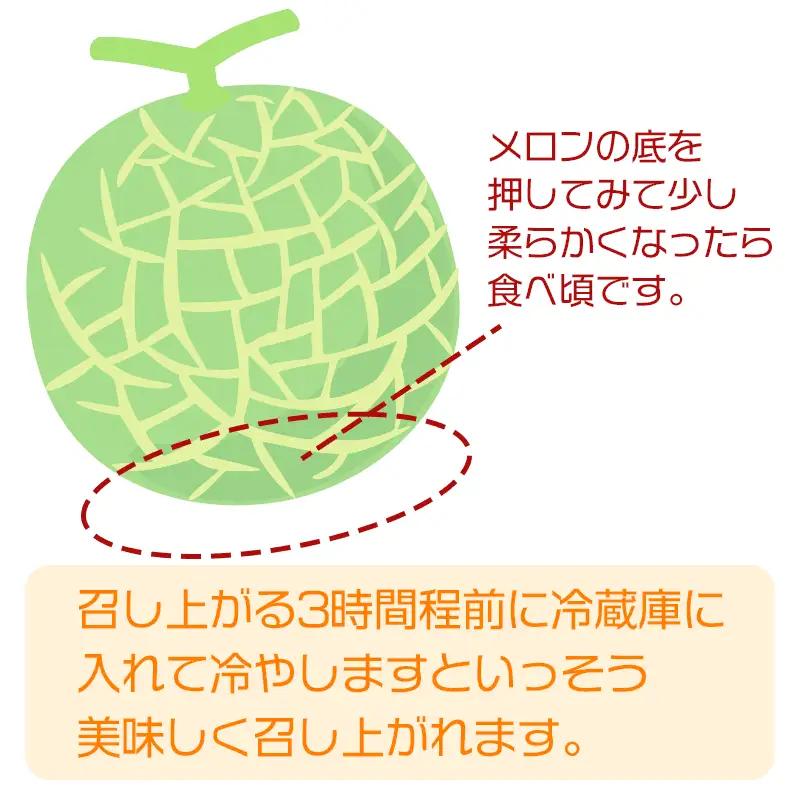 【令和8年産先行予約】 庄内砂丘青肉・赤肉メロン食べくらべ　 各1玉 (計2玉) 約2.5kg 山形県鶴岡市産　株式会社 元青果　| メロン めろん 青肉メロン 赤肉メロン 2.5キロ 山形 鶴岡 庄