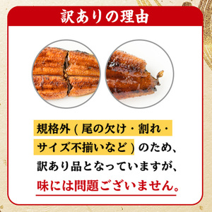 訳あり！鹿児島県産うなぎ蒲焼 特大 190g超 訳ありうなぎの蒲焼 うなぎ 鰻 ウナギ 国産 鹿児島県産 うなぎの蒲焼のタレ付き【A-1550H】