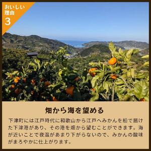 とれたてしもつみかん　5kg家庭用｜和歌山県海南市の下津みかんを産地直送でお届け【2025年11月発送開始】